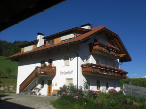 Holzerhof Lothen Campolino 5 Sankt Lorenzen San Lorenzo Di Sebato